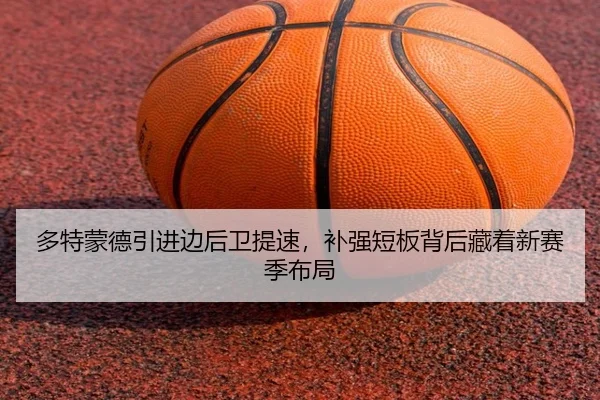 多特蒙德引进边后卫提速，补强短板背后藏着新赛季布局 | leyu
